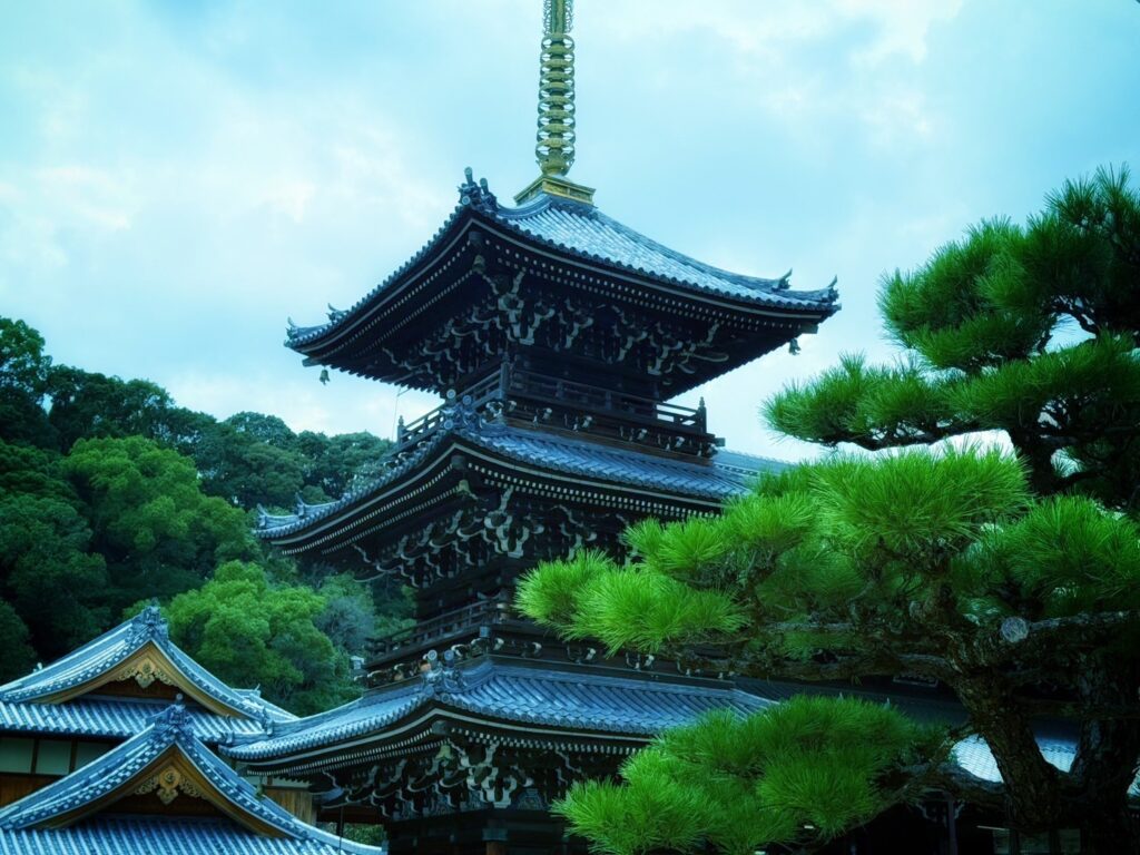 クロノス財団 現地視察報告】 | クロノス保全財団